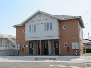 マーガレットBの画像