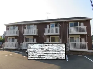 プラムガーデンの画像