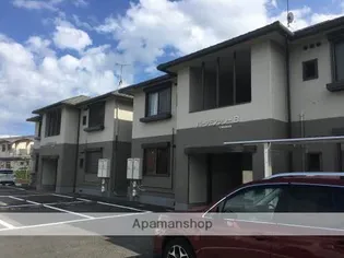 パーシモンツリーの画像