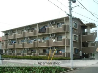 アルビレオの画像