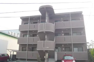ココペリの画像