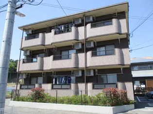 マ メゾンM【102号室】の外観