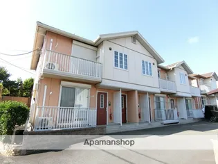 プラシードの画像