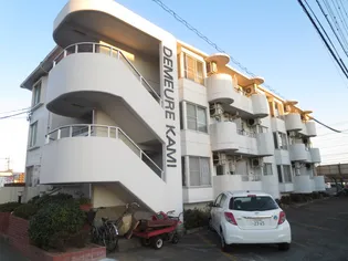 ドミール カミの画像