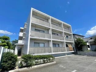 リーヴァ黄瀬川の画像