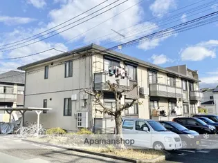 カメリアの画像