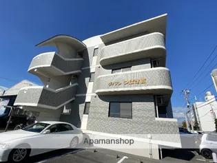 ヴィブレつばさIIIの画像