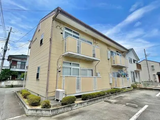 STカトレア Aの画像