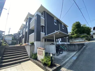 TOP HILL MIUの画像