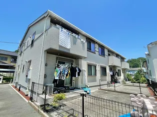 サン プラシードの画像