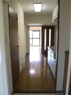 マ メゾンM【1階】のその他画像