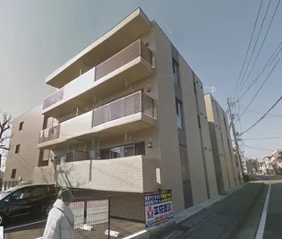 セルカ シャロンの画像