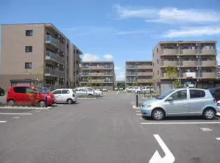 フィールドコート ミルトの画像