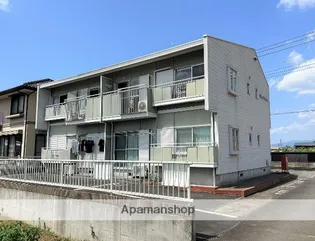 ロワイムクリサンセームの画像