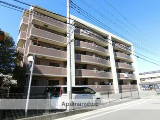 ヴィブレアトリオの画像