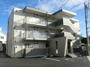 ユズソラーナの画像