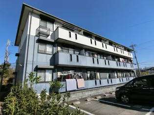 ハイネスサカシタ B【3階】の外観