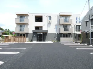 ルピナスの画像