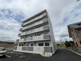 ユズソラーナの画像