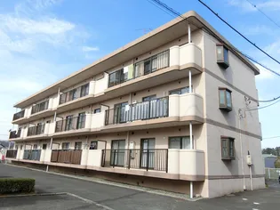 コトー萩の画像