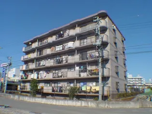 カミヤエステート【3階】の外観