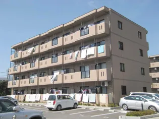 ソレイユ グランの画像