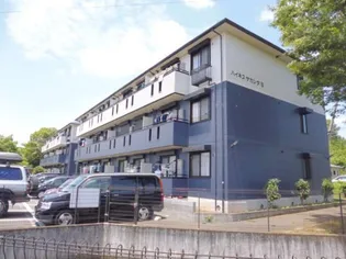 ハイネスサカシタ A【3階】の外観