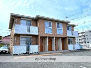 ハックベリーの画像