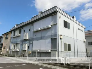 ルミネサカキの画像