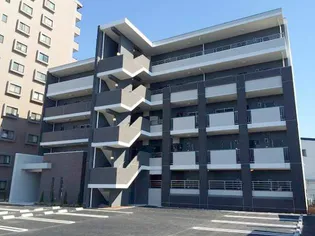 ヴィオラ Nの画像