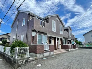 アミティーの画像