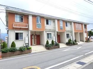 メゾン プラシードの画像