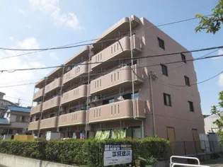 ミレニアム パレの画像