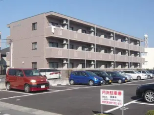 ラフィーネ花畑の画像