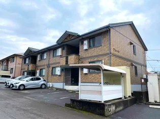 アムールの画像