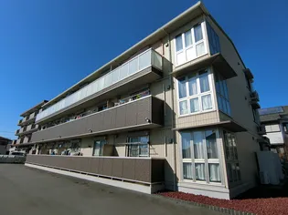 モンテ・フジ S【305号室】の外観