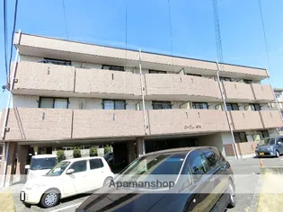 ヴィブレ夢大の画像