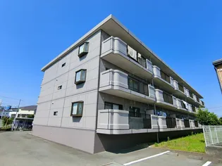 グレースの画像