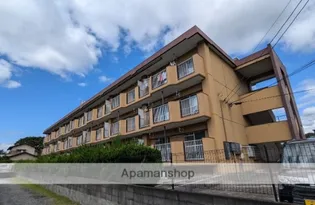 平松ハイツ【3階】の外観