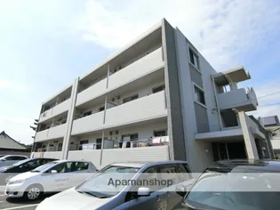 ココ シェリーナの画像