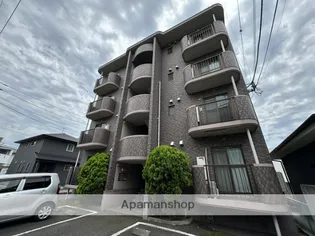 ステラ エスの画像