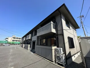 アダマンテピノの画像