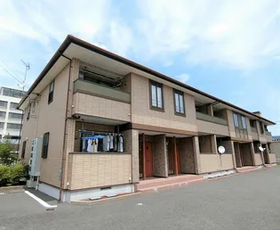 CALME KURINOKIの画像