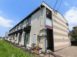 たちばなの画像