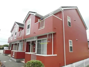 サンフラワーの画像