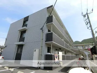 シーベルズの画像