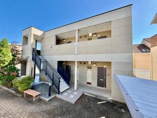 ブルーコスモの画像