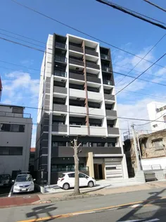 ジュネス トラントの画像