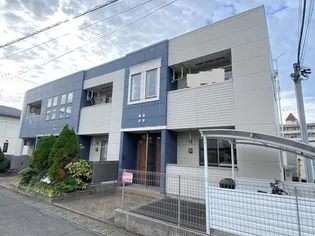 サウス ハニー ビーの画像