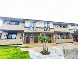 STONE HILLS Yの画像